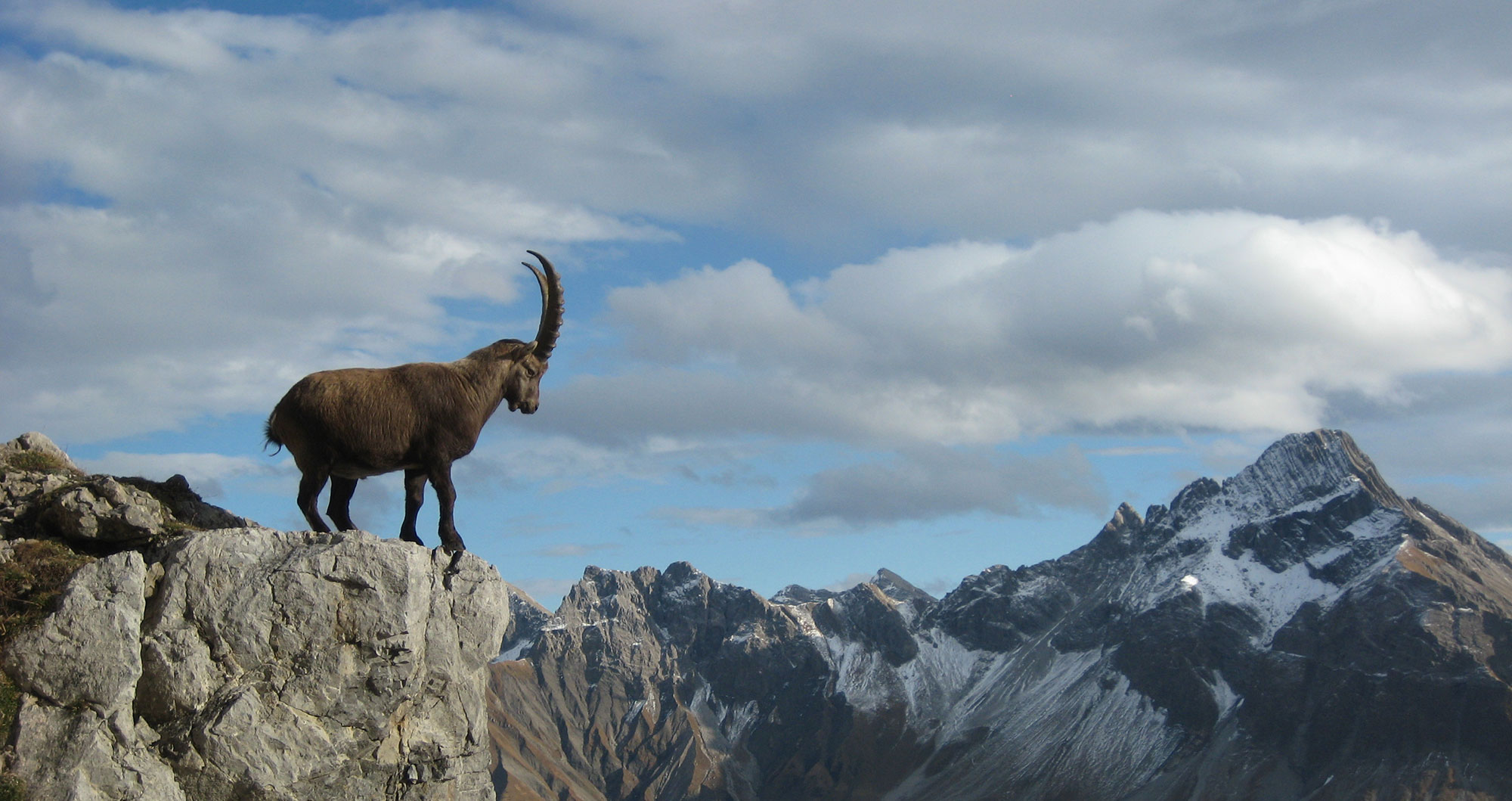 CENTAURUS Systems Centaurus Systems